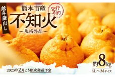 【2023年2月より順次発送予定】熊本市産 越冬蔵出し不知火(規格外品) 約8kg(4L-Ｍサイズ) 