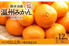「先行予約」 熊本市産 温州みかん （規格外品） 計12kg（2L～Mサイズ） ※2021年12月上旬より順次発送予定