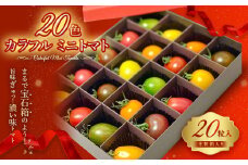 20色 カラフル ミニトマト 20粒 トマト 完熟