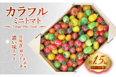 15～20種 の カラフル ミニトマト 合計約1.5kg トマト 完熟