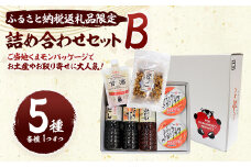 ふるさと納税 返礼品限定 詰合せ セットB 甘酒入り 白だし 味噌