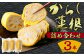 からし蓮根 約310g×3本 詰め合わせ 熊本名物 辛子蓮根