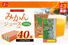 ジューシー みかんジュース 100％ (学給) 125ml×40本 合計5000ml 5L 蜜柑ジュース ミカンジュース オレンジジュース 紙パック 飲料 ジュース 国産 九州 熊本県 熊本市