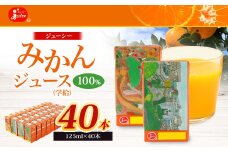 ジューシー みかんジュース 100％ (学給) 125ml×40本 合計5000ml 5L 蜜柑ジュース ミカンジュース オレンジジュース 紙パック 飲料 ジュース 国産 九州 熊本県 熊本市