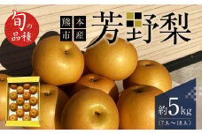 【2023年8月下旬発送開始】熊本市産 芳野梨 旬の品種 5kg なし ナシ 梨 果物 フルーツ