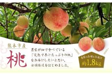 熊本市産 桃 約1.8kg 季節の品種をお届け【2025年5月下旬～7月上旬発送開始】 果物 フルーツ モモ