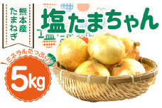 熊本市産 たまねぎ 塩たまちゃん 5kg タマネギ 玉葱 玉ねぎ