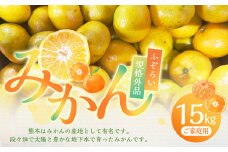 【規格外品】 熊本市産 みかん ご家庭用 15kg 不揃い  蜜柑 ミカン フルーツ 果物 くだもの 柑橘 熊本産 九州産【2025年10月下旬～2026年2月下旬迄発送予定】