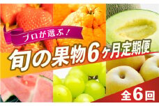 プロが選ぶ！旬の果物 6ヶ月定期便 フルーツ いちご 柑橘 メロン スイカ シャインマスカット 梨