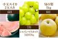 プロが選ぶ！旬の果物6ヶ月定期便