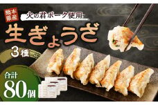 熊本県産 火の君ポーク 使用 生ぎょうざ 3種セット(合計80個)