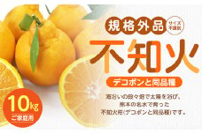 【規格外品】不知火 (デコポンと同品種) ご家庭用 10kg サイズ不選別 しらぬい みかん 果物 くだもの フルーツ 【2026年1月下旬～3月下旬迄発送予定】
