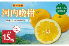 【規格外品】河内晩柑 ご家庭用 15kg  サイズ不選別【2025年3月下旬～6月下旬発送予定】 晩柑 柑橘 晩柑 くだもの 果物 フルーツ