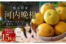 【規格外品】河内晩柑 ご家庭用 15kg  サイズ不選別【2026年3月下旬～6月下旬発送予定】 晩柑 柑橘 晩柑 くだもの 果物 フルーツ