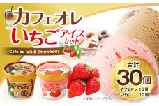 弘乳舎 カフェオレアイス 15個 いちごアイス 15個 セット 合計30個 合計3.3L 【2025年3月下旬以降発送開始予定】 アイスミルク カップアイス アイス 大容量 ファミリーパック