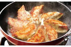 餃子の王国 生餃子 6種 111個 黒豚 しそ えび にんにく にら どでかドン 餃子 