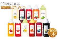 熊本 杉養蜂園 【ブルーベリー】果汁入り はちみつ 1,000g 蜂蜜