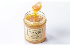 【6ヶ月定期便】 杉養蜂園 ニュージーランド産マヌカ蜜 500g×6ヶ月 はちみつ 蜂蜜