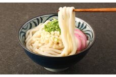 和風 スープ付き うどん 30食 210g×30袋 生タイプ麺