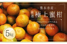 熊本市産 厳選 極上蜜柑 5kg 【2025年9月上旬～2026年1月下旬迄発送予定】 みかん ミカン 柑橘 フルーツ 果物
