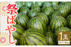 【植木産】熊本スイカ (祭ばやし) 7～8kg前後 スイカ 果物 【2025年5月下旬から6月上旬発送】