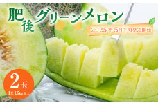 熊本県産 肥後グリーンメロン 2玉 果物 フルーツ メロン【2025年5月下旬～6月上旬発送予定】