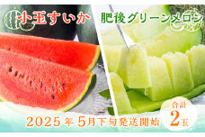 熊本県産 小玉すいか ＆ 肥後グリーンメロン 各1玉 果物 フルーツ セット ギフト 贈答品 贈り物 【2025年5月下旬～6月下旬発送予定】