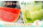 熊本県産 小玉すいか＆肥後グリーンメロン