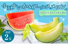 【2024年5月下旬発送開始】 熊本県産 小玉すいか＆アールスメロン 各1玉 すいか アールスメロン メロン 果物 くだもの フルーツ 西瓜