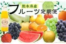 熊本フルーツ 定期便12回 フルーツ 果物 メロン すいか 不知火 ギフト いちご きんかん 巨峰 みかん 大秋柿 贈答