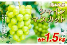 シャインマスカット 約1.5kg（2～3房）【2025年7月上旬～10月下旬発送予定】果物 フルーツ マスカット ブドウ 葡萄