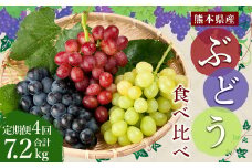 ぶどう食べ比べ 定期便4回 約1.8kg （3～5房）×4回 合計約7.2kg【2025年7月上旬-10月下旬発送予定】ブドウ 果物 フルーツ 食べ比べ 定期便