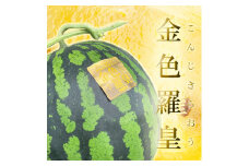熊本産 金色羅皇 1玉 7キロ以上【2025年5月下旬～6月下旬発送予定】 西瓜 すいか スイカ 果物 フルーツ くだもの