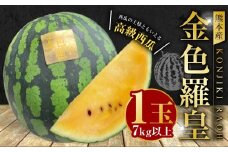 熊本産 金色羅皇 1玉 7キロ以上【2026年5月下旬～6月下旬迄順次発送予定】 西瓜 すいか スイカ 果物 フルーツ くだもの