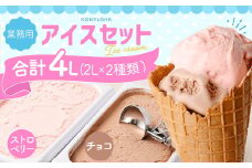 2Lアイス セット (チョコ・ストロベリー) 合計4L アイス 自家製 業務用 大容量 【2025年6月下旬順次発送開始】