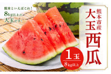 大玉西瓜（1玉入り）8kg以上 すいか スイカ【2025年5月上旬～7月上旬発送予定】