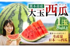大玉西瓜（1玉入り）8kg以上 すいか スイカ【2026年5月上旬～7月上旬迄順次発送予定】