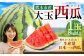 大玉西瓜（1玉入り）8kg以上 すいか スイカ