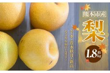 熊本市産 梨 （幸水・豊水・秋月・新高など） 約1.8kg （3～6玉）【2025年8月下旬～10月上旬迄発送予定】