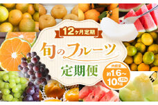 旬のフルーツ 定期便 12ヶ月