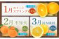 旬のフルーツ定期便 12ヶ月