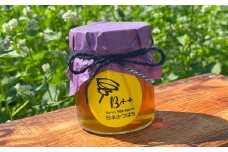 熊本県産 日本みつばちの蜂蜜 約250g