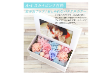 【スカイピンク/白枠】 プリザーブドフラワー フォトBOX 「KAREN(カレン)」