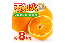 不知火 約8kg 18～28玉 【2024年2月上旬～2024年4月上旬発送予定】
