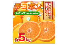 デコポン 約5kg 12玉～20玉 【2023年12月上旬～2024年2月下旬発送予定】