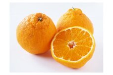 不知火 約2.5kg 7～10玉 【2024年2月上旬～2024年4月上旬発送予定】