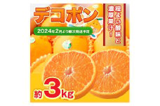デコポン 約3kg 6玉～12玉 【2024年2月下旬～2024年4月下旬発送予定】