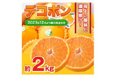 デコポン 約2kg 6玉～12玉【2023年12月上旬～2024年4月下旬発送予定】
