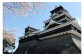熊本市周遊！貸切観光タクシーフリー利用券(ジャンボ・3時間)