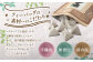 ほうじ茶 約300包 (100包×3) ティーバッグ 焙じ茶 国産